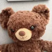 すももの画像
