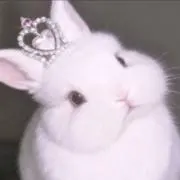 ‪‪8/8~8/12発送不可の画像