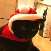なこ(๑˃̵ᴗ˂̵)の画像