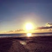 海3150の画像