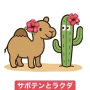 サボテンとラクダの画像