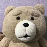 こまちの画像