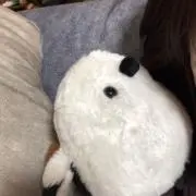 yu_34_7の画像