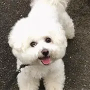 ゆきこんの画像