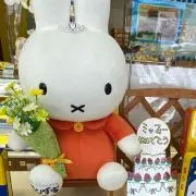 みさこの画像