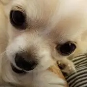 うーたんの画像