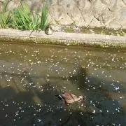 ☆りえ☆