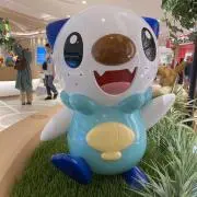 かぬれの画像