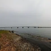 xeroxliuの画像
