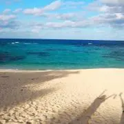 kokkoの画像