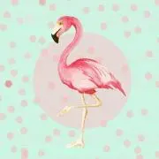リルちゃ