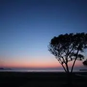 のん