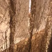 anの画像