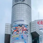 パパイヤの画像