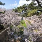 えみの画像