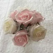 ☆T☆の画像