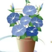 なやわ୨୧の画像