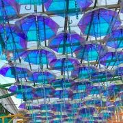 tomo3の画像