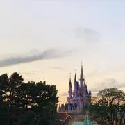 Cの画像
