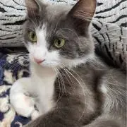 れいちゃんママ