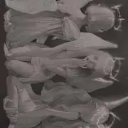 みみの画像