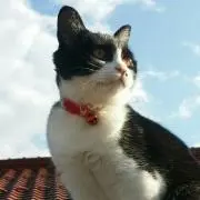 Tetuya☆