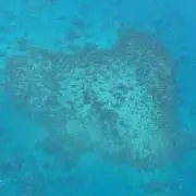 Hiroroの画像