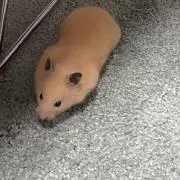 mの画像