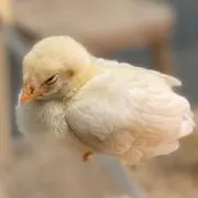 jo∠