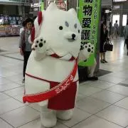 もょもと