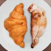まろんの画像