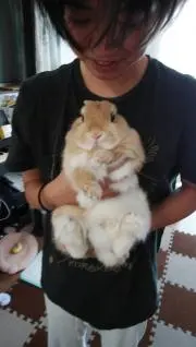 はまぐり