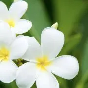 ライフショップの画像