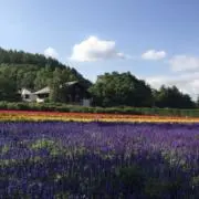 たま＊12時間以内に返信＊の画像
