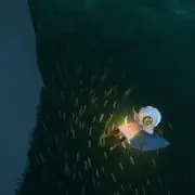 生わかめ/基本匿名配送の画像