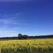 yuuukの画像