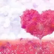 きなこ餅 ※即購入OK※