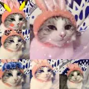 知恵ママ
