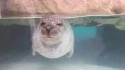 hironosukeの画像