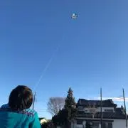 ざわわ