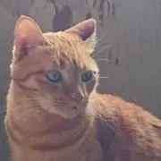 まろん