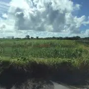 ttt