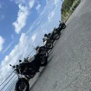 かあの画像