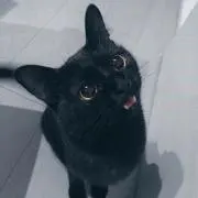 クルトガの画像