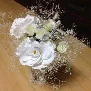 かすみ草の画像