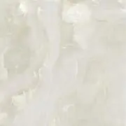 muuの画像