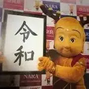 チコの画像