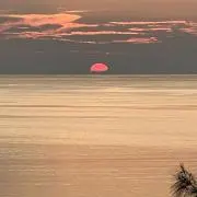 ソルティの画像