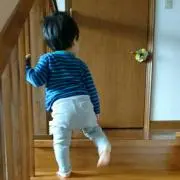 nachiの画像
