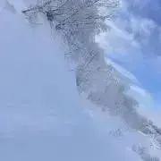 ぽんの画像
